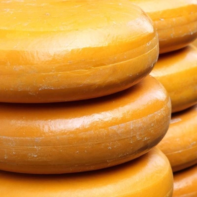 Gouda Peyniri: Lezzeti ve Özellikleri