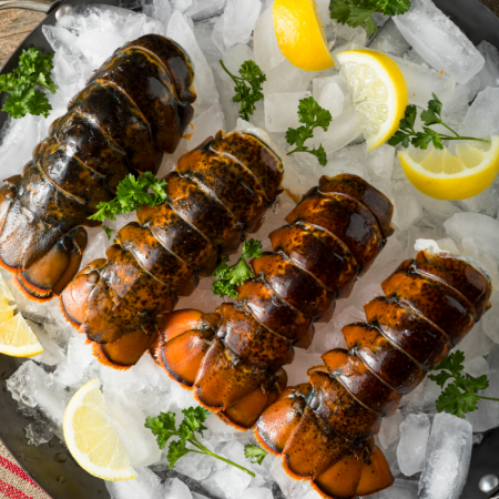 Canlı Istakoz - 1 kg