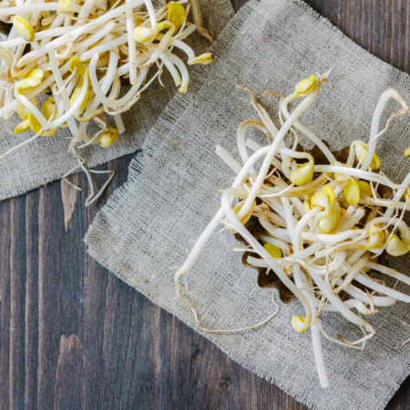 Foodco Soya Filizi (425 gr)