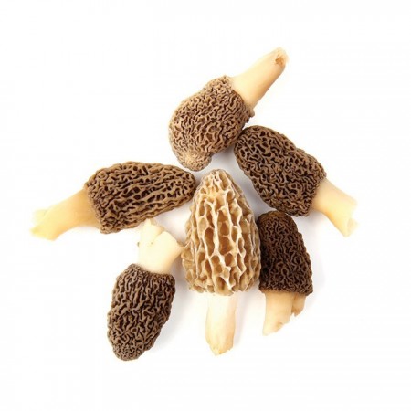 Mushroom&More Donuk Morel Kuzu Göbeği Mantarı - 500 gr , yarım paket