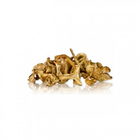 Mushroom&More Donuk Sarıkız Mantarı - 500 gr