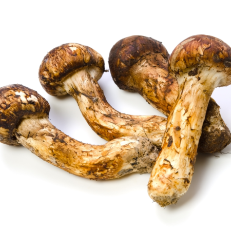Dondurulmuş Doğa Mantarı Matsutake - 1 kg
