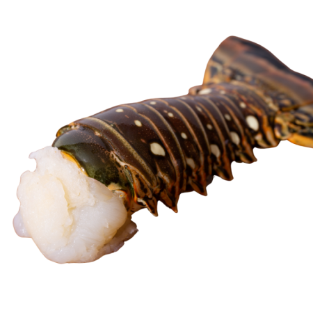 Istakoz Kuyruğu 200 g - 1 adet