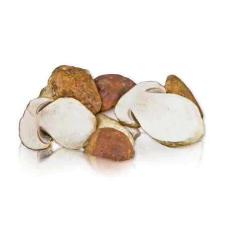 Mushroom&More Dondurulmuş Porçini  Mantarı - 500 gr