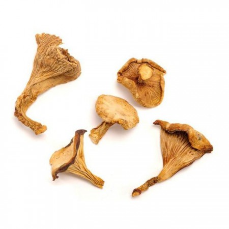 Mushroom&More Dondurulmuş Yumurta (Sezar) Mantarı - 1 kg